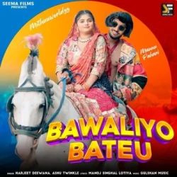 Unknown Bawaliyo Bateu