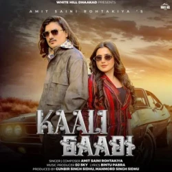 Unknown Kaali Gaadi