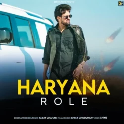 Unknown Haryana Role