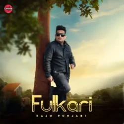 Unknown Fulkari