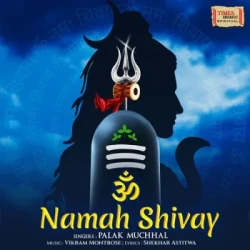 Unknown Om Namah Shivay
