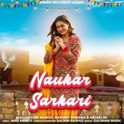 Unknown Naukar Sarkari