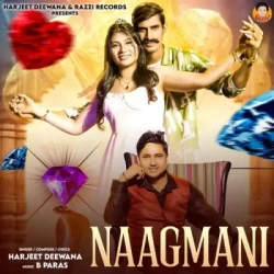 Unknown Naagmani