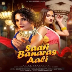 Unknown Saari Banaras Aali