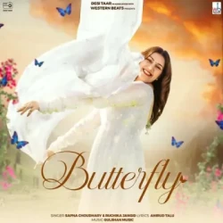 Unknown Butterfly