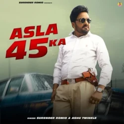 Unknown Asla 45 Ka