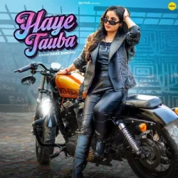 Unknown Haye Tauba