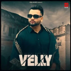 Unknown Velly