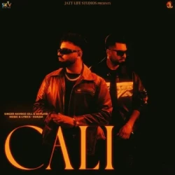 Punjabi-Singles Unknown
