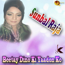 Unknown Beetay Dino Ki Yaadon Ko