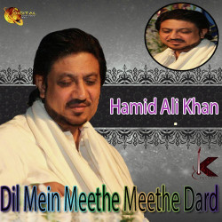 Unknown Dil Mein Meethe Meethe Dard