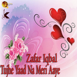 Unknown Tujhe Yaad Na Meri Aaye