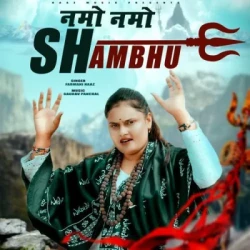 Unknown Namo Namo Shambhu