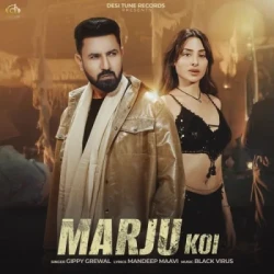 Punjabi-Singles Unknown