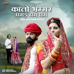 Rajasthani Unknown