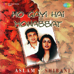 Unknown Ho Gayi Hai Mohabbat Aslam And Shibani