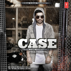 Unknown Case - The Time Continues