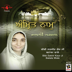 Punjabi Unknown