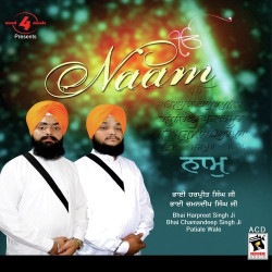 Punjabi Unknown