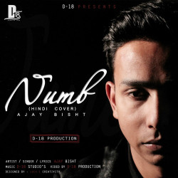 Unknown Numb (Cover Version)