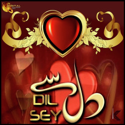 Unknown Dil Sey