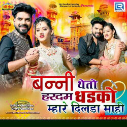 Unknown Bunni Theto Hardam Dhadko Mhare Dilda Mahi
