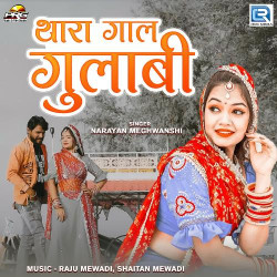 Rajasthani Unknown