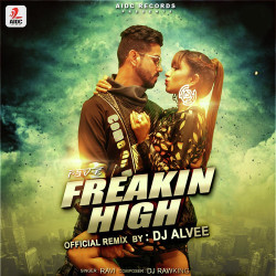Unknown Freakin High (Remix DJ Alvee)