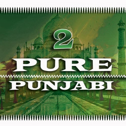 Unknown Pure Punjabi 2