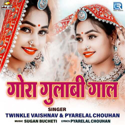 Rajasthani Unknown