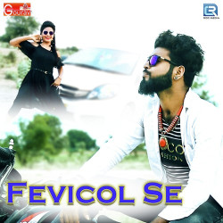 Unknown Fevicol Se