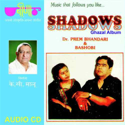 Unknown Shadows