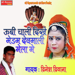 Rajasthani Unknown