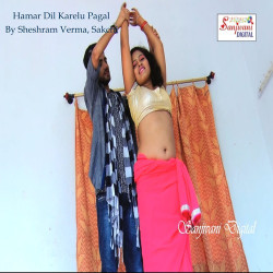 Unknown Hamar Dil Karelu Pagal