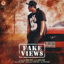 Unknown Fake Views