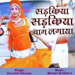 Rajasthani Unknown