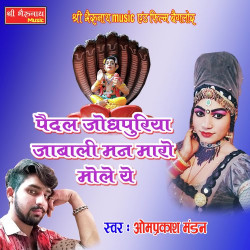 Rajasthani Unknown
