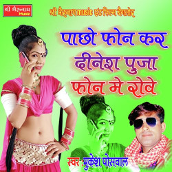 Rajasthani Unknown