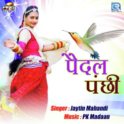 Unknown Pedal Panchhi
