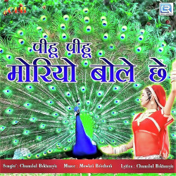 Rajasthani Unknown