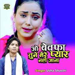 Unknown Oo Bewafa Tune Mere Pyar Ko Nahi Jana