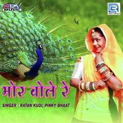 Rajasthani Unknown