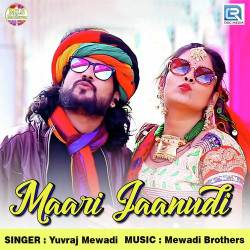 Unknown Maari Jaanudi