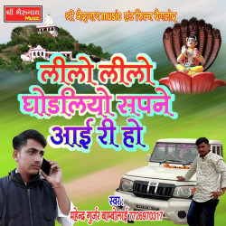 Rajasthani Unknown