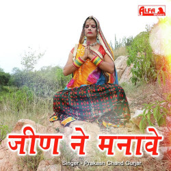 Rajasthani Unknown