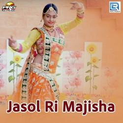 Rajasthani Unknown