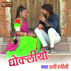Unknown Dhokliyo