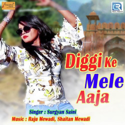 Unknown Diggi Ke Mele Aaja