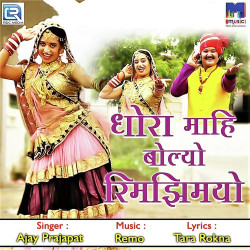 Rajasthani Unknown