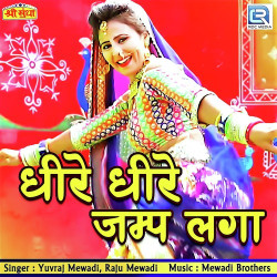 Rajasthani Unknown